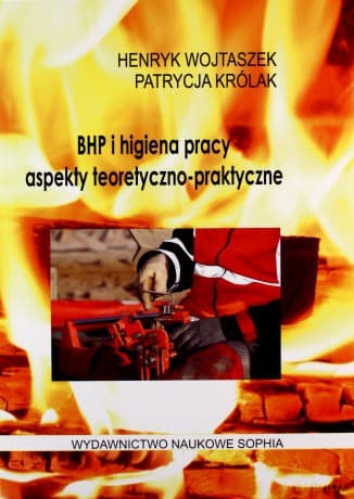 Bhp i higiena pracy. Aspekty teoretyczne-praktyczne - Henryk Wojtaszek, Patrycja Królak
