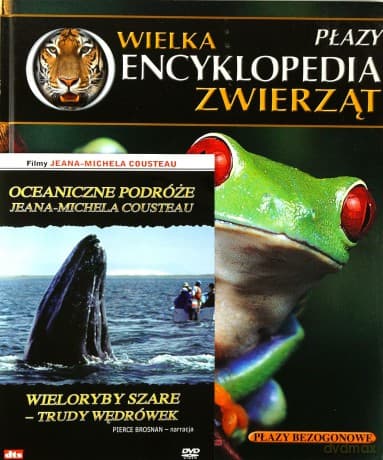 Wielka Encyklopedia Zwierząt 20 Płazy / Oceaniczne podróże: Wieloryby szare: trudy wędrówek