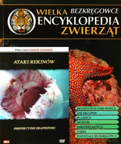 Wielka Encyklopedia Zwierząt 29 Bezkręgowce / Ataki rekinów: Perfekcyjne drapieżniki