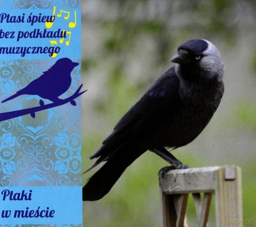 Ptaki W Mieście (digipack)
