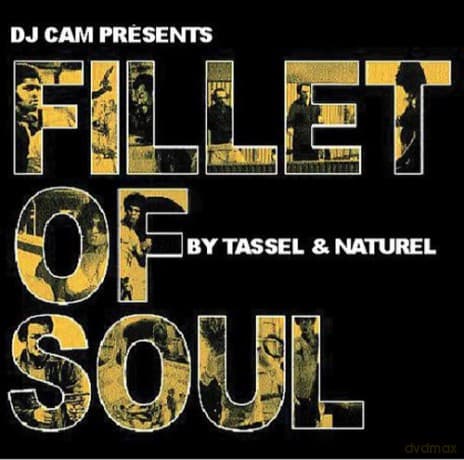 Dj Cam: Fillet of Soul