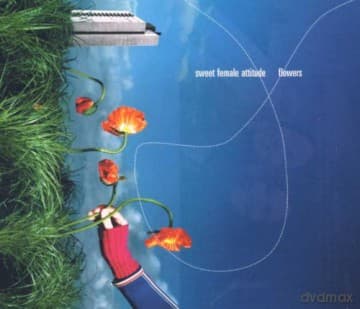 Sweet Female Attitude: Flowers