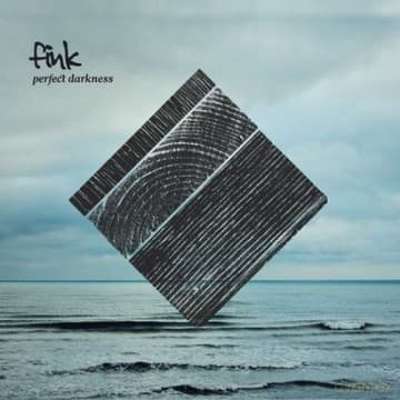 Fink: Perfect Darkness