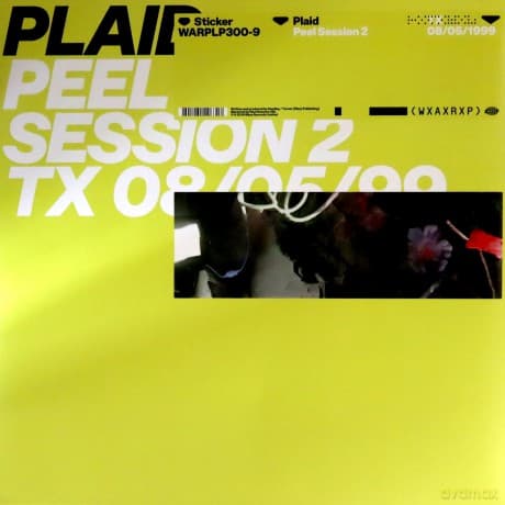 Plaid: Peel Session 2
