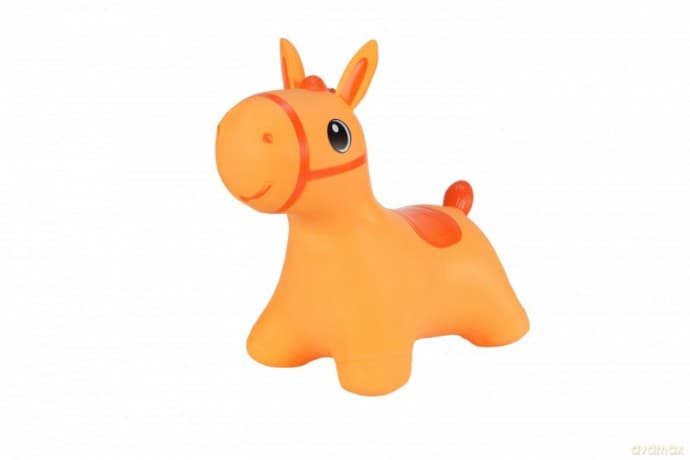Skoczek konik pomarańczowy karton
