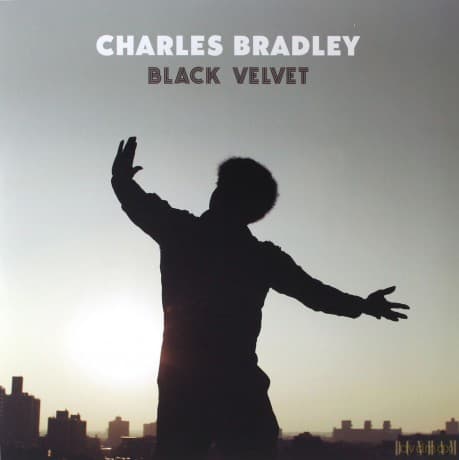 Charles Bradley: Black Velvet