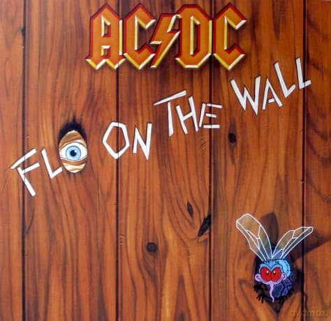 AC/DC: Fly on the Wall