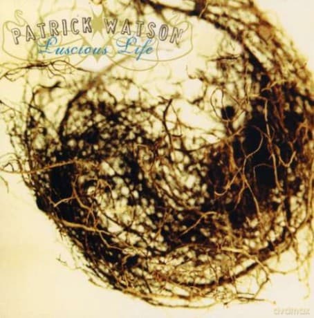 Patrick Watson: Luscious Life /'storm
