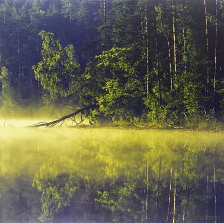 Oneirogen: Plenitude